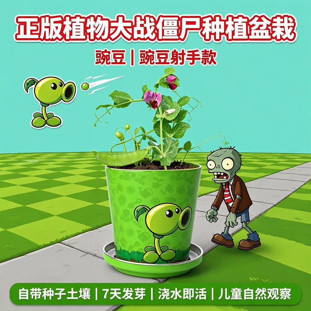 植物大战僵尸小盆栽 豌豆射手儿童礼物 7天发芽桌面绿植 花盆随机