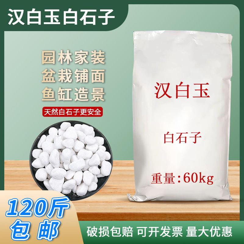 山西白石子造景白色鹅卵石石头南京雨花石鱼缸多肉铺面水培郁金香