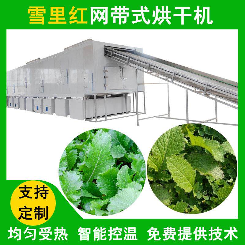 雪里红烘干机空气能热泵网带式智能烘干房智能控温外婆菜烘干机