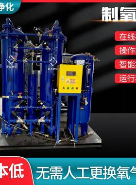 制氧机厂家供应高浓度分子筛氧气发生器工业变压吸附氧气设备