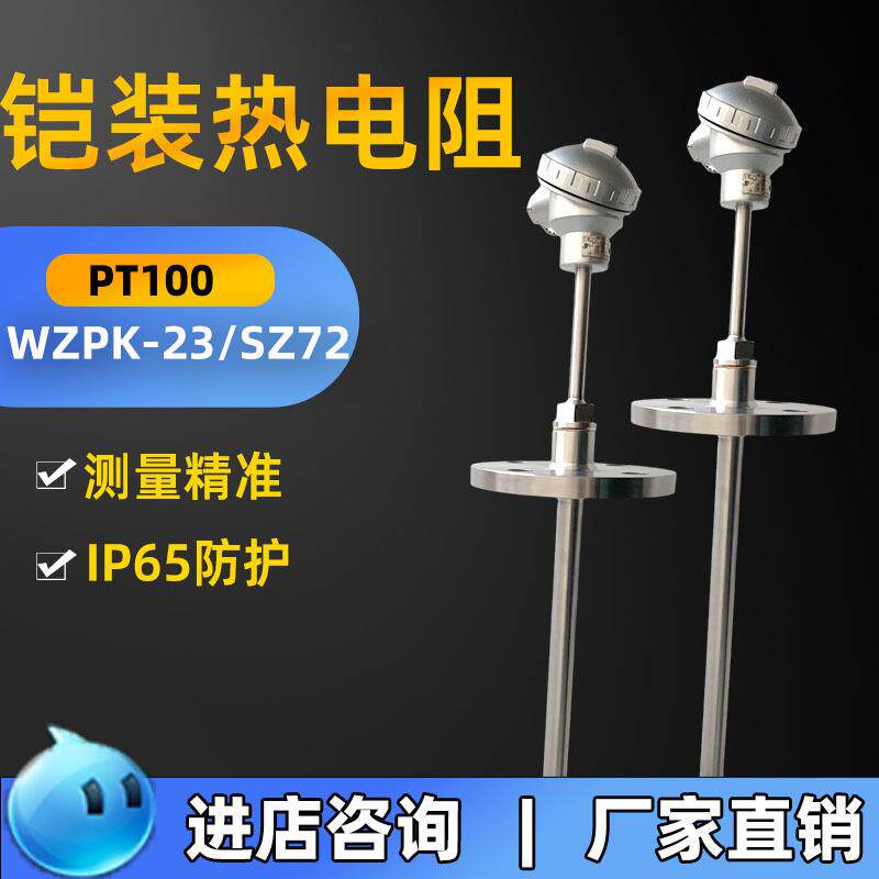 Pt100温度传感器WZP热电阻不锈钢焚化炉高温工业抗氧化探头测温棒