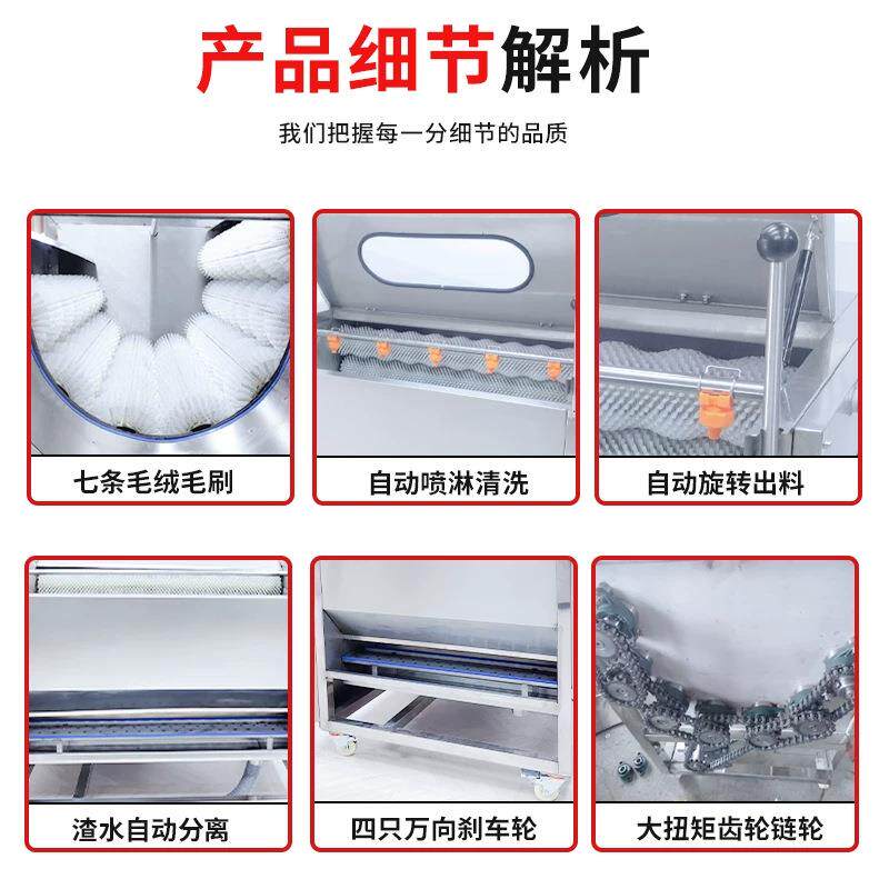 全自动土豆毛辊去皮清洗机红薯清洗设备橙子去皮机毛刷去皮清洗机