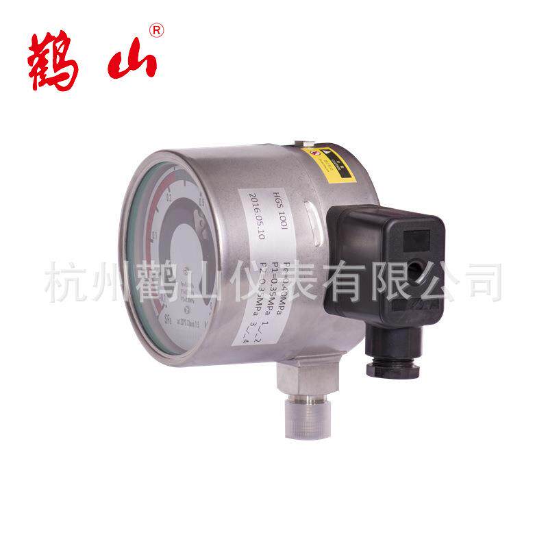 Y100密度继电器 SF6密度继电器 高压开关柜继电器 密度电接点