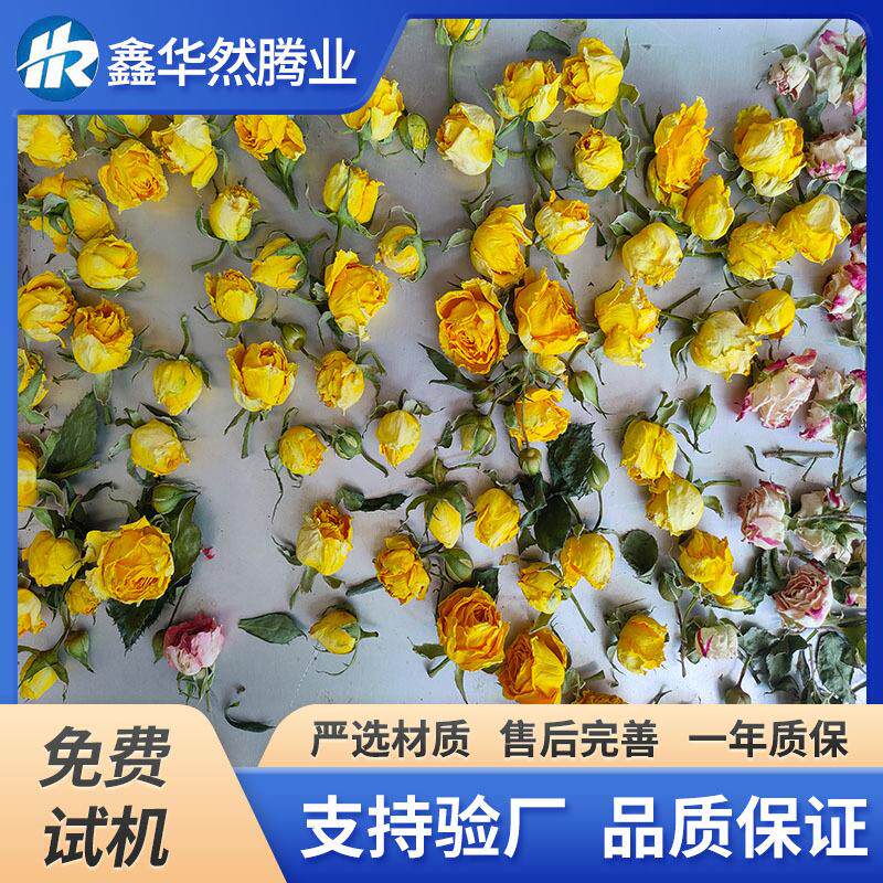 墨红玫瑰花冷冻干燥设备全自动茉莉花茶桂花蜜真空冷冻干燥机