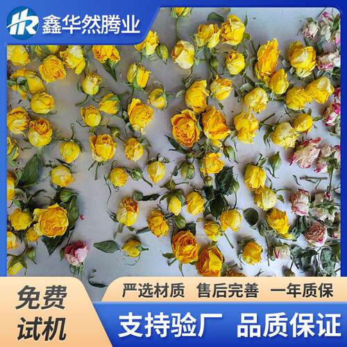 墨红玫瑰花冷冻干燥设备全自动茉莉花茶桂花蜜真空冷冻干燥机