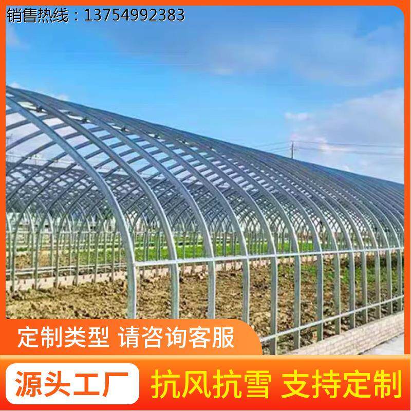 温蔬菜棚室钢管大棚骨架养殖种植暖棚全套猪鸡舍钢架连栋组装简易