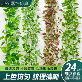 仿真绿萝藤条葡萄叶枫叶藤蔓塑料管道吊顶装饰植物绿叶藤条