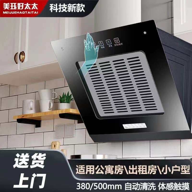 公寓小型油烟机小尺寸家用侧吸式单灶吸油烟机出租房迷你小户型