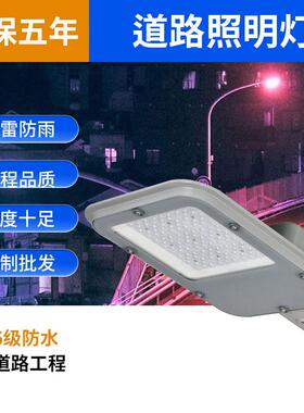 led道路照明路灯防水防潮庭院高亮高杆路灯耐用投光灯挑臂头省电