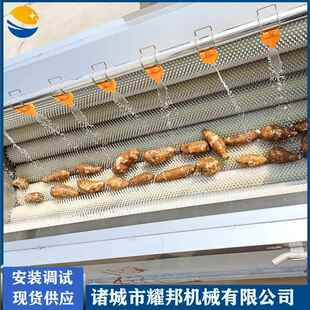 全自动黄精清洗机大型西洋参人参清洗机连续式天麻中药材清洗机
