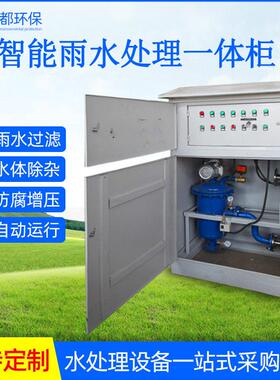 雨水智能水处理一体机碳钢雨水收集器厂家地面式雨水处理一体机