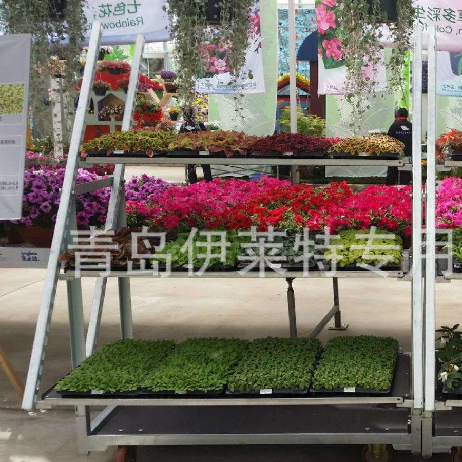 直销展示车基地鲜花多层周转车盆栽花卉展示花