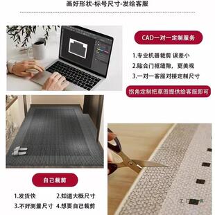地垫入户门门地门家用门垫防滑客进厅口轻奢玄关脚垫F5M8S696可裁