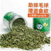 Natural Cat Organic nip Premium Toy