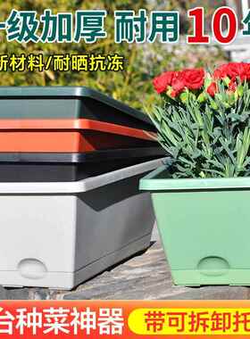 种菜盆家庭阳台大号霍伦长条塑料花盆带托盘节水抗旱阳台菜园