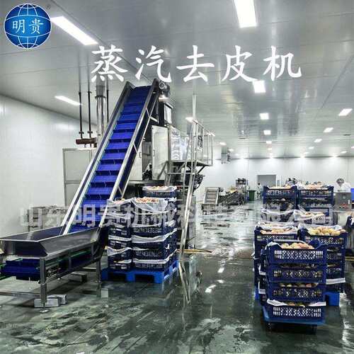 物理蒸汽去皮机土豆红薯自动剥皮机器根茎类山连续脱皮设备
