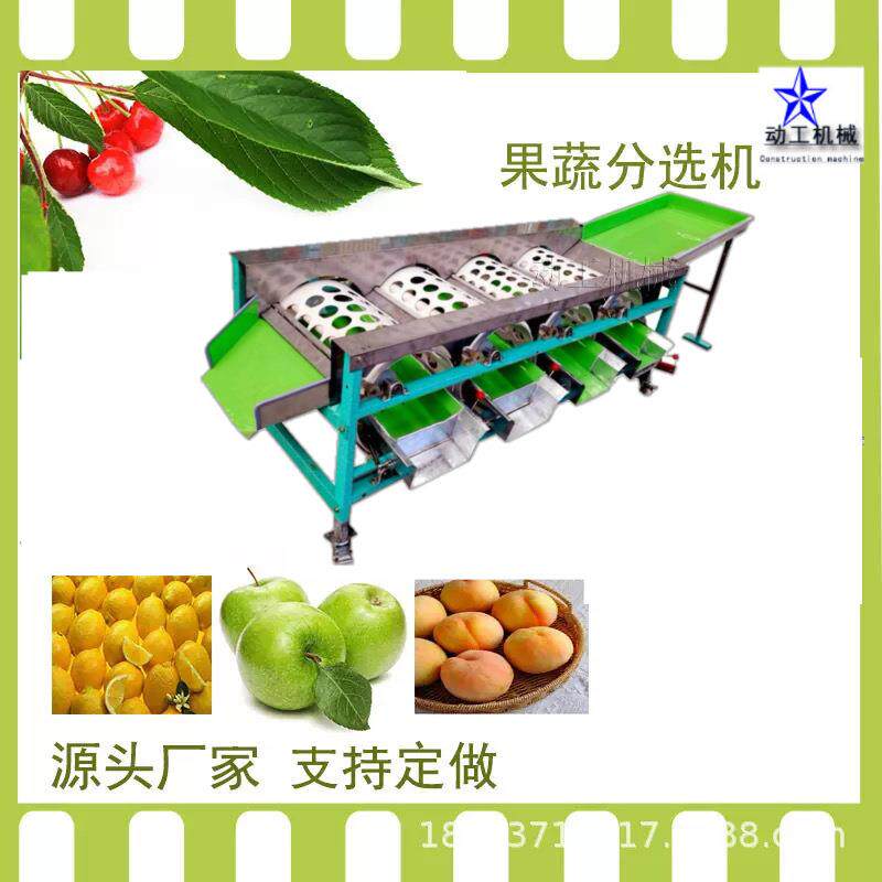 果园自动化分拣设备 滚筒式青梅柿子分选机 商用大型核桃分级机