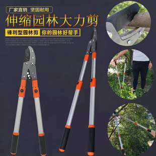 厂家供应园林工具伸缩大力粗枝剪修枝剪园艺果枝剪果树剪高枝剪