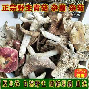 新疆包邮今年新货野生菌青头杂菌白菇杂蘑菇野生土产干货500g包邮