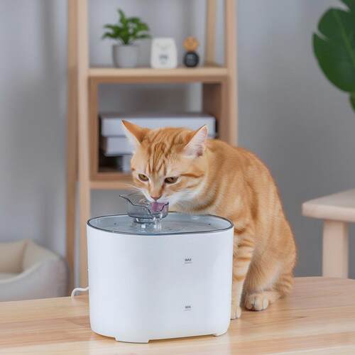 新款宠物饮水机智能充电宠物饮水器自动循环过滤猫咪活水机器跨境