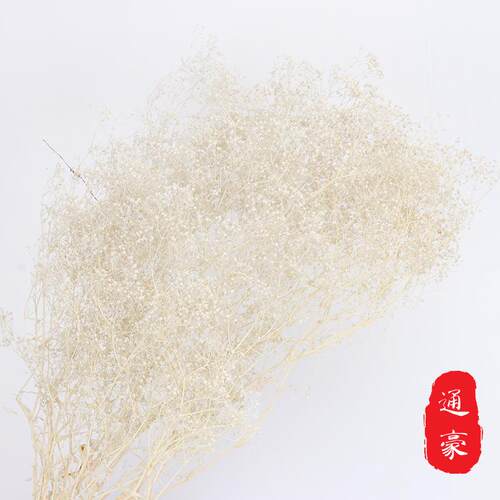 永生满天星彩色百万小满天星保鲜花干花花束DIY材料花材