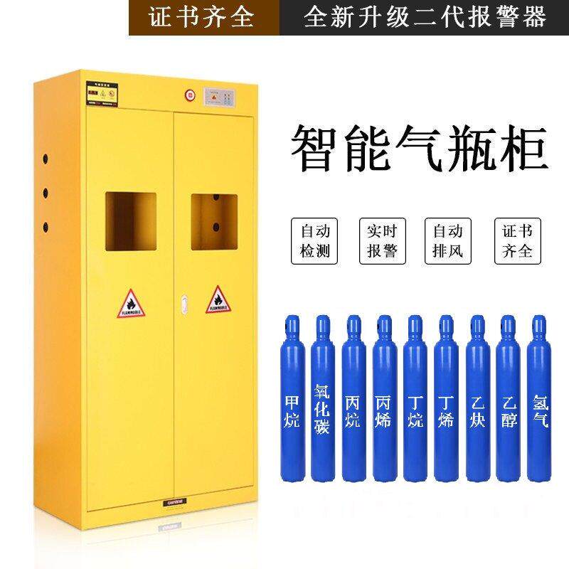 需定制气瓶柜工业防爆柜实验室单瓶双瓶储存柜甲烷乙炔危险气体储