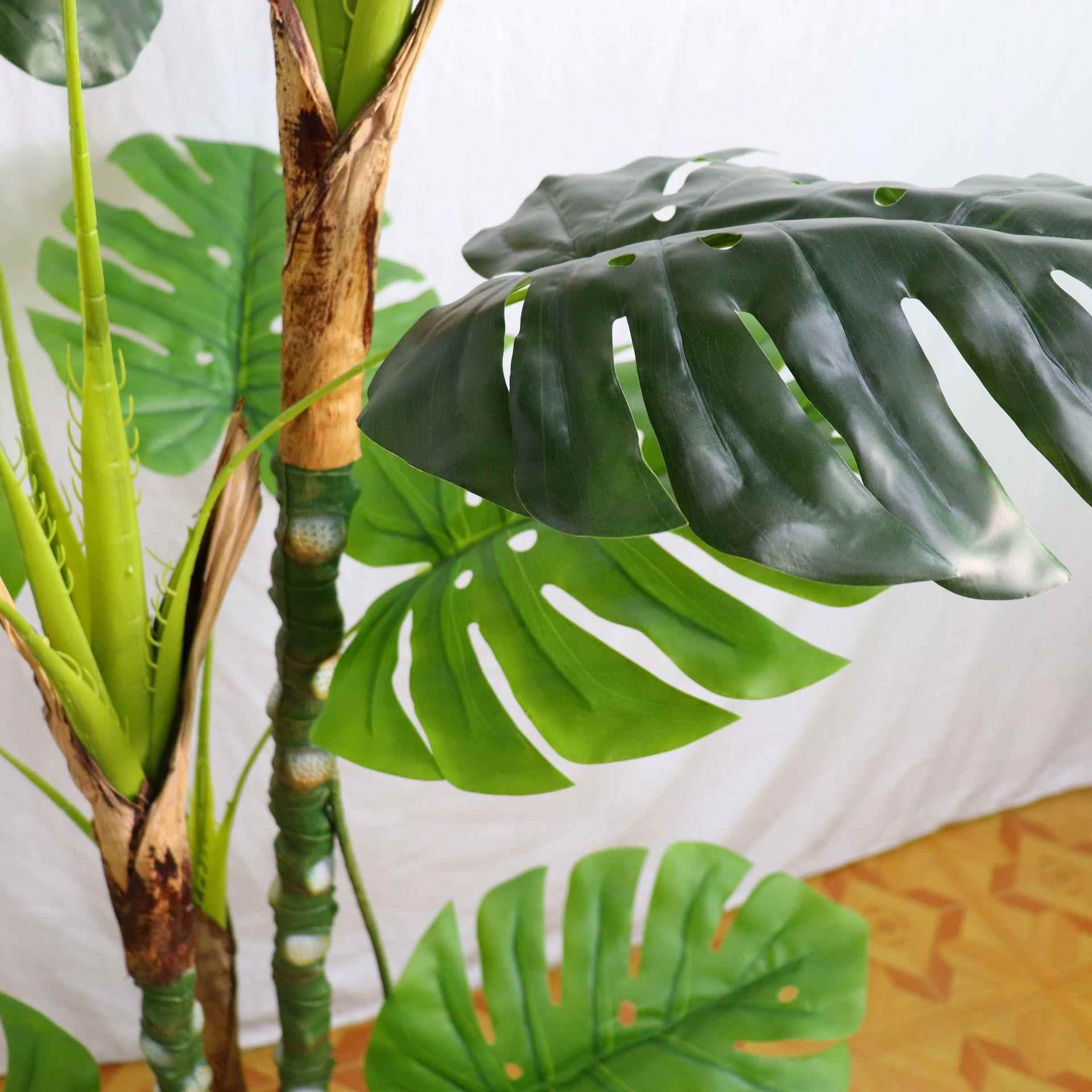 真植物橱651560窗造装景绿植富客贵龟背树饰室内摆件盆栽厅龟背叶