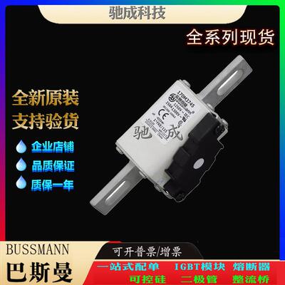 巴斯曼170M3540 170M3541 170M3558 加工制作量大价优 低压熔断器