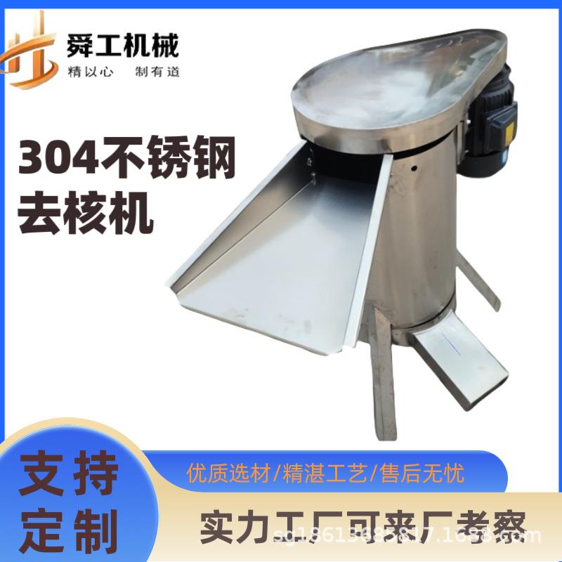 不锈钢水果脱籽机 大型立式去胡打浆设备 桃子橄榄葡萄去核机