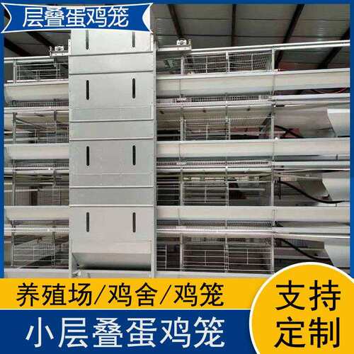 厂家层叠蛋鸡笼小层叠鸡笼自动化养殖三层四层立式鸡笼