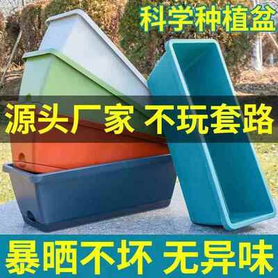 种菜盆长方条形阳台室内种植箱花盆菜园超厚大号塑料霍伦耐用加厚