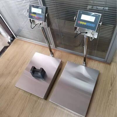 TCS-YHEX本安防5爆台秤1称0kg/g10化工车间使用重落地秤