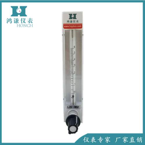 二氧化氯分析仪流量计二氧化氯流量计PVDF材质四氟材质