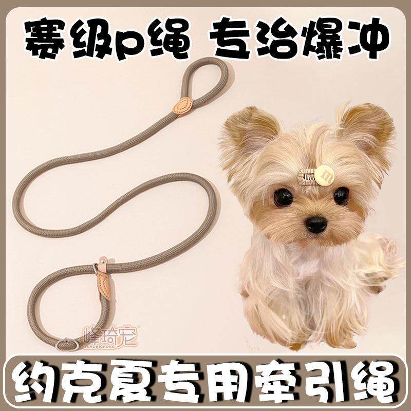 约克夏专用溜狗狗牵引绳套脖子p炼p绳遛狗绳子防爆冲小体小型幼犬