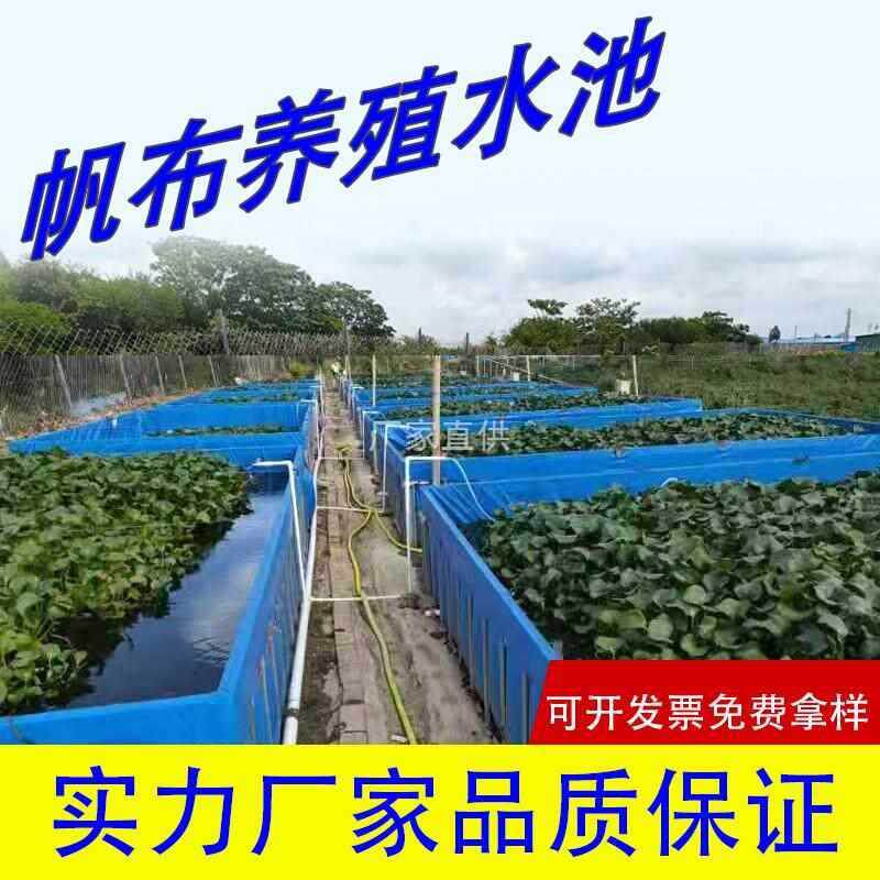 户外帆布鱼池加厚防水布养鱼池大型塑料游泳池养殖水箱刀刮布水池