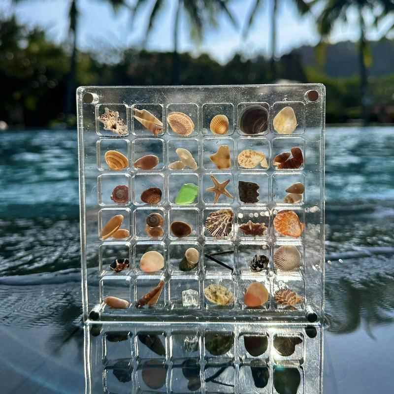 节日意亚克力透明贝壳收纳盒海边石头收贝小壳创藏磁力收纳展示盒