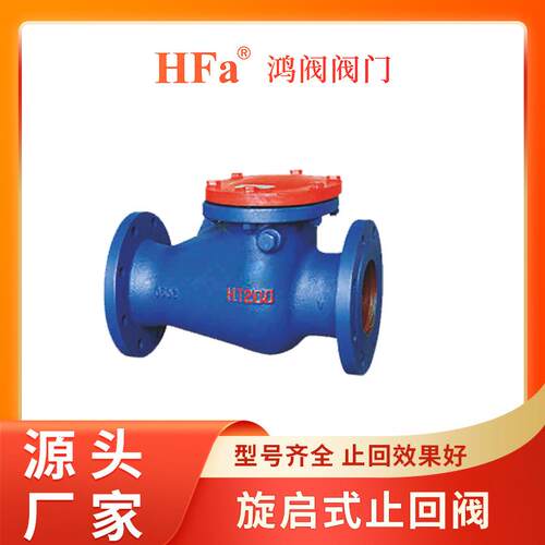 H44T-W-10铸钢碳钢旋启式法兰止回阀蒸汽止回阀单向阀逆止阀