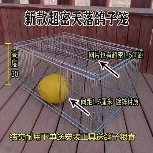 祇进不出鸡笼鸽笼子家用室外大号收鸽专用加密鸽兔家禽散养回收笼