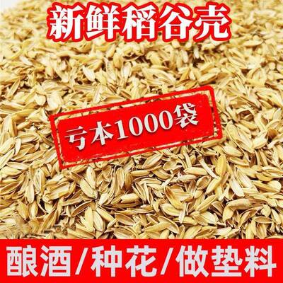稻壳垫料新鲜谷壳粗糠米糠喂鸡宠物芦丁鸡垫料枕头芯填充酿酒饲料