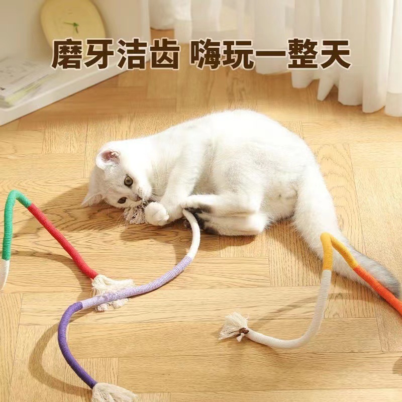 宠物猫猫咪咬咬玩具宠物智能玩具