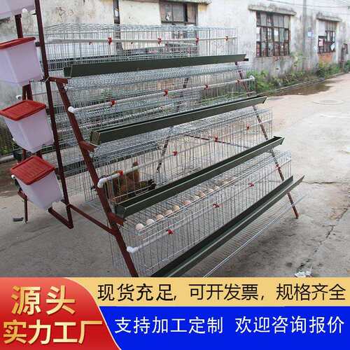 厂家可定三层四门蛋鸡笼阶梯式鸡笼雏鸡笼出口蛋鸡笼外贸出口