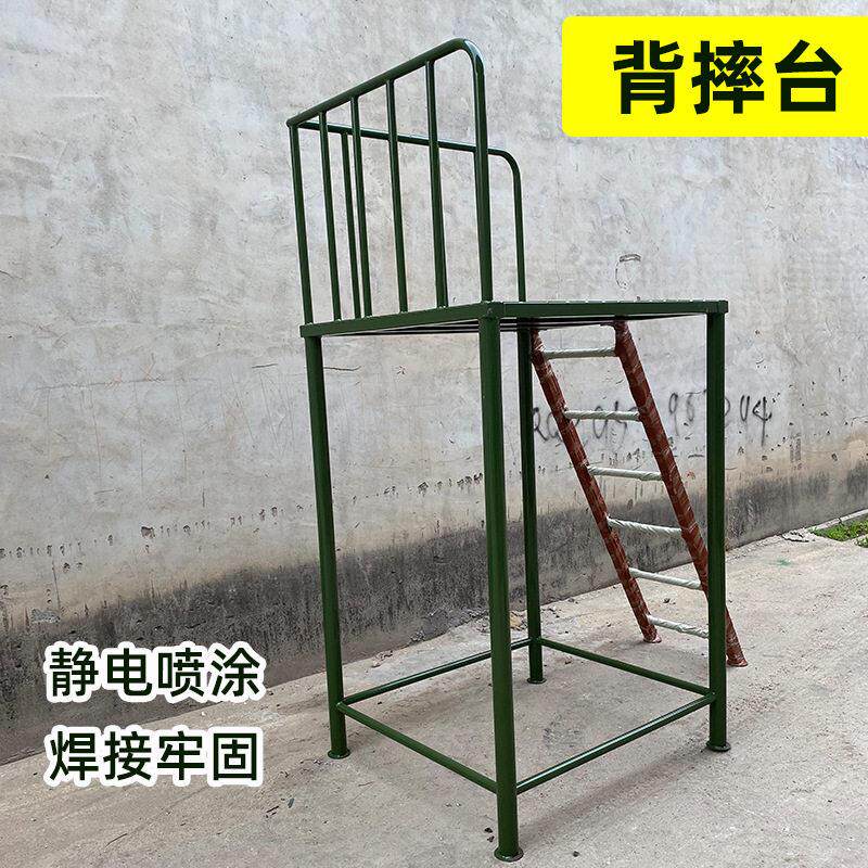 加工定制户外信任背摔台器材心理拓展训练青少年体能毕业墙训练器