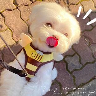 小型蜜蜂背心胸遛狗狗狗户外背带犬牵引绳背带卡通可爱 宠物胸式