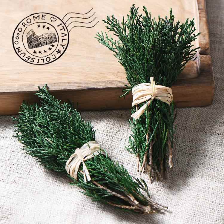 【柏叶】永生花玻璃罩植物相框叶子森系婚礼胸花圣诞花环装饰树叶