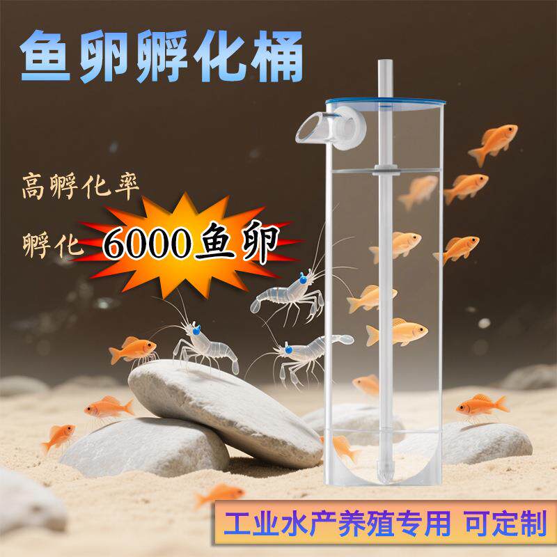 亚克力鱼卵孵化器鱼苗虾孵化设备鲶鱼工厂化水产养殖鱼卵孵化瓶