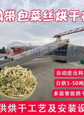 大型包菜丝烘干机网带式卷心菜椰菜干燥机洋白菜烘干线乡村项目