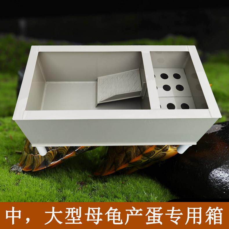 乌龟黄缘龟产蛋箱池缸中大型环保PP塑料长方形沙池专用可订定制做