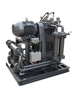 Z-0.255-1W00气压20250217缩机活塞式压缩机 氧无油氧气压缩/机