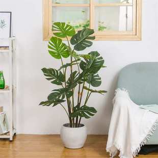 室内家居客厅落地装饰仿真大型绿植盆景仿真散尾葵龟背树盆栽绿植