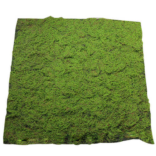 墙绿植物草坪微植植仿真绒景观棕丝背景绿草皮青苔植苔藓装饰草皮